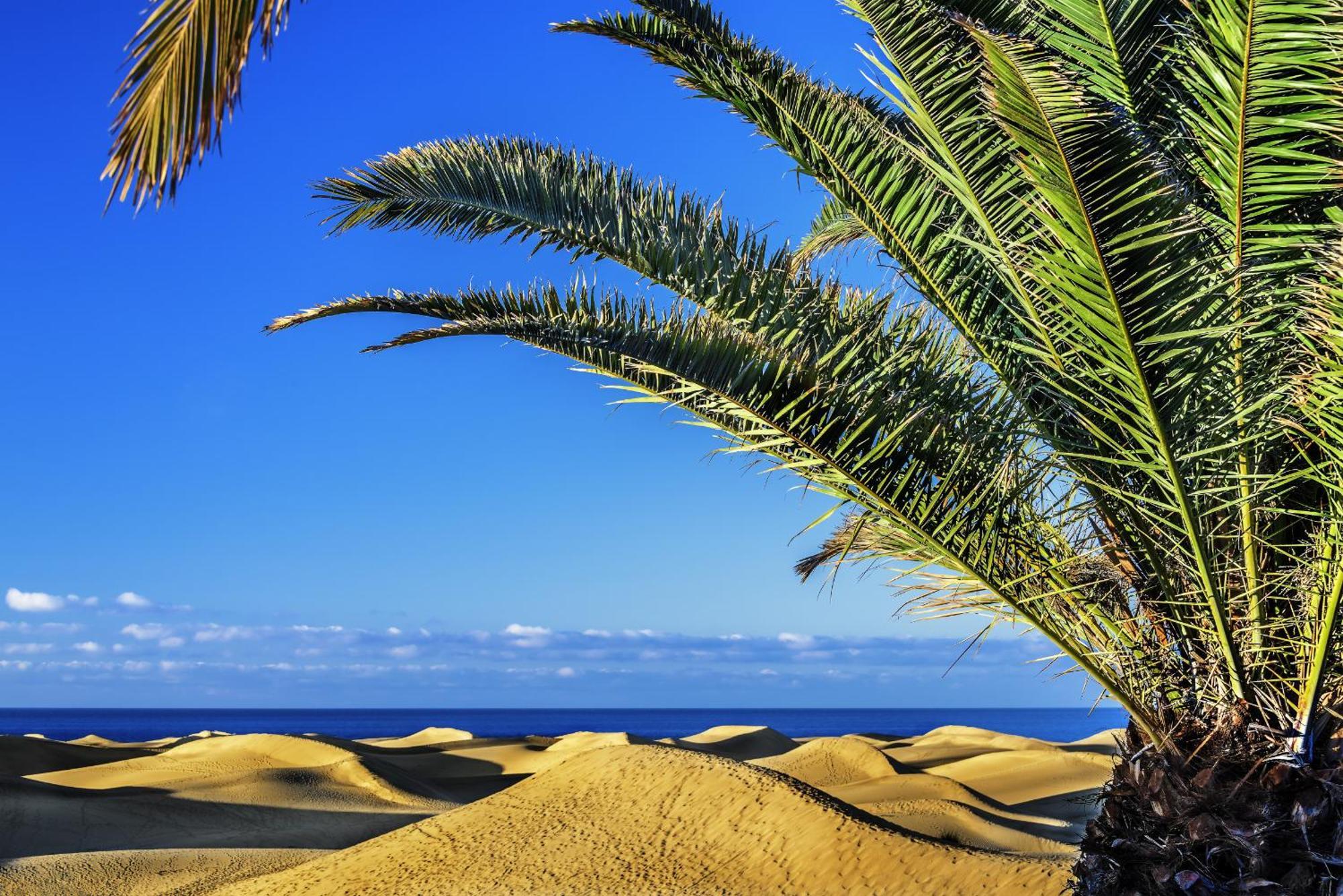 Rejon Hideaway B By Canariasgetaway Vakantiehuis Las Palmas
